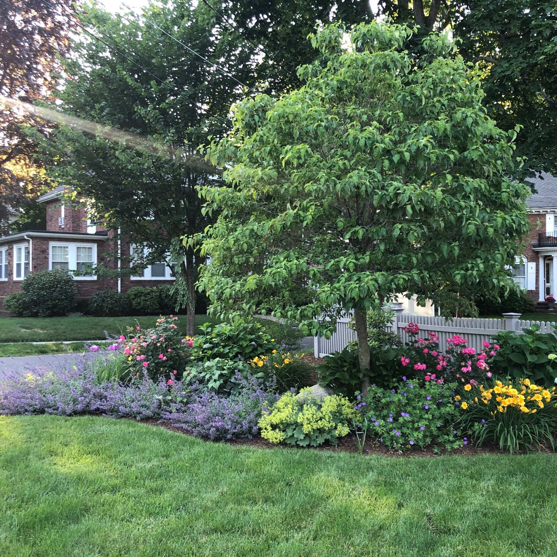 Click here to see more of our garden projects